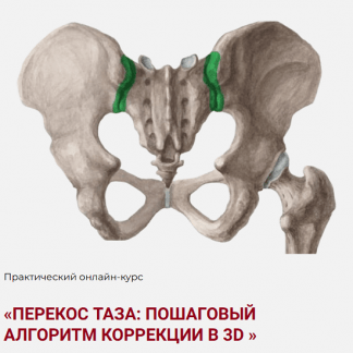 [Дмитрий Семёнов] Перекос таза Пошаговый алгоритм коррекции в 3D (2025)