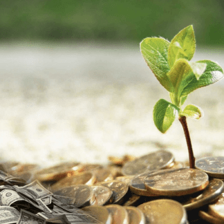 [EduNote][Артем Забалуев] Денежный мешок (2023)