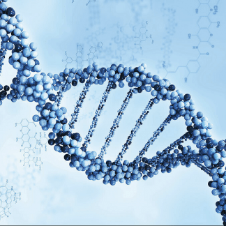 [Екатерина Гарцева] Тело знает (2023)