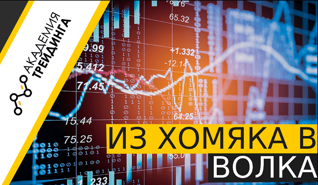 [Екатерина Костевич] Из Хомяка в Волка 5.0. Тариф Wall Street (2020)