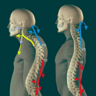 [Екатерина Васильева] Курс 40 + (2025) [kate_good_fitt]