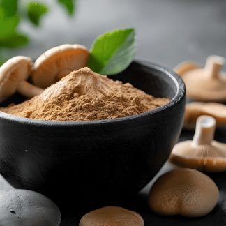 [Елена Александрова, Мария Харитонова, Ирина Кононенко] Функциональные грибы природная поддержка тела и эмоций (2025) [УОМ]