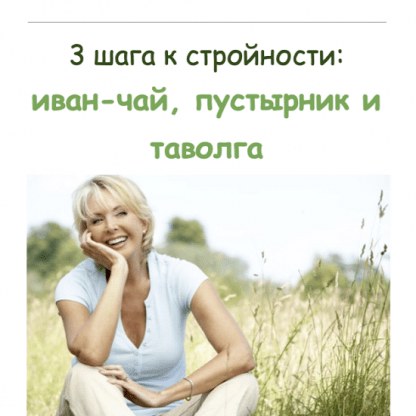 [Елена Горчакова] 3 шага к стройности иван-чай, пустырник и таволга (2023) [Медвежий угол]