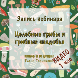 [Елена Горчакова] Целебные грибы и грибные снадобья — запись вебинара — 1 час видео (2023) [Медвежий угол]