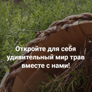 [Елена Корсун] Противовирусные травы при коронавирусе (2021)