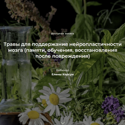 [Елена Корсун] Травы для поддержания нейропластичности мозга (памяти, обучения, восстановления после повреждения) (2022)