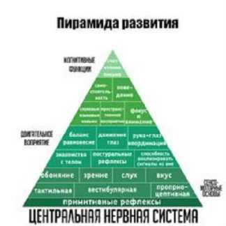 [Елена Костарева] Рефлексы - основа для успешного развития и обучения (2024) [Stepik]
