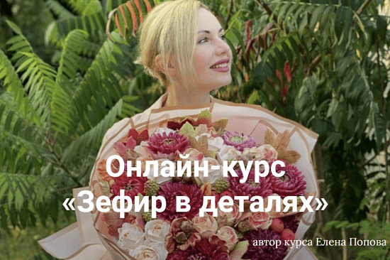 [Елена Попова] Зефир в деталях (2023) [elenapo11] [тариф Продвинутый]