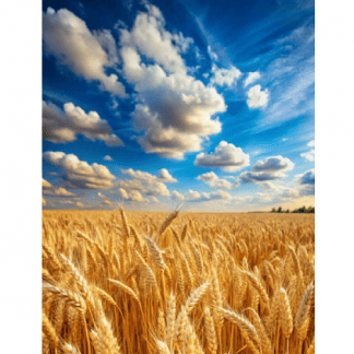 [Елена Скордина] Клуб безлогичного метода (март 2024 г. - сентябрь 2025 г.)