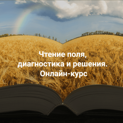 [Елена Веселаго] Чтение поля, диагностика и решения (2024) [тариф Апгрейд до пакета Полный]