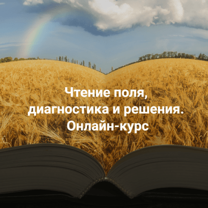 [Елена Веселаго] Чтение поля, диагностика и решения. Расстановки и полевая терапия (2024)