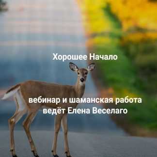 [Елена Веселаго] Хорошее начало (2026) [Институт Открытого поля]