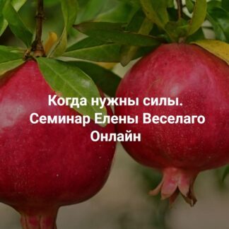 [Елена Веселаго] Когда нужны силы. Семинар о ресурсной полевой терапии для более полной жизни и работы с тяжелыми травмами (2026) [Институт Открытого поля]