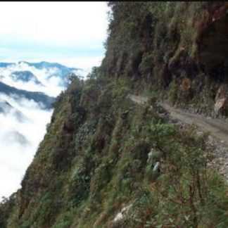 [Елена Веселаго] Опасная работа (2020)