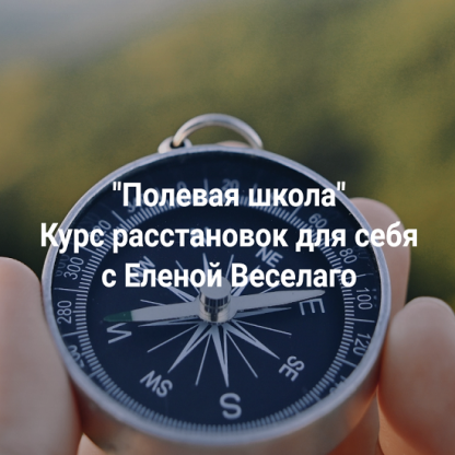 [Елена Веселаго] Полевая школа. Курс расстановок для себя (2025) [Институт Открытого поля]