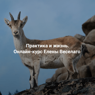 [Елена Веселаго] Практика и жизнь (2024) [Ступень 1][Институт Открытого Поля]