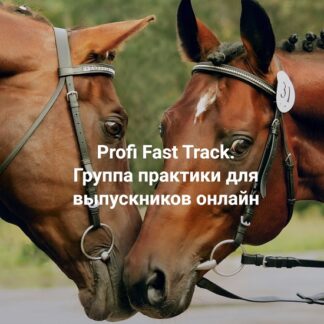 [Елена Веселаго] Profi Fast Track. Группа практики с супервизией для выпускников (2026) [Институт Открытого поля]