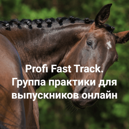 [Елена Веселаго] Profi Fast Track. Травма и переплетение с чего начать работу. Группа практики для выпускников онлайн (2023)