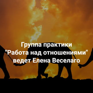 [Елена Веселаго] Работа над отношениями (2025) [Институт Открытого поля]