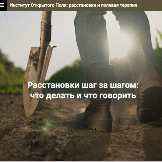 [Елена Веселаго] Расстановки шаг за шагом что делать и что говорить. Без места расстановщика (2023) [Институт открытого поля]