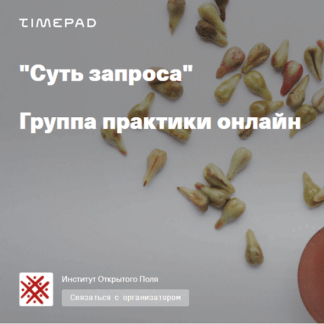 [Елена Веселаго] Суть запроса. Группа практики онлайн (2021)