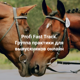 [Елена Веселаго] Я беру свою жизнь себе. Profi Fast Track. Группа практики для выпускников онлайн (2025) [Институт Открытого поля]