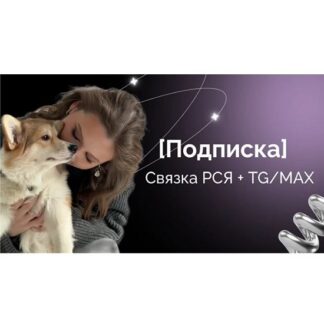 [Евгения Васильева] Секретная связка РСЯ + Макс (август 2026)