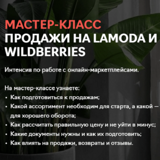 [Fashion Factory School] Продажи на Lamoda и Wildberries (2020)