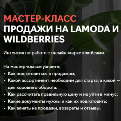 [Fashion Factory School] Продажи на Lamoda и Wildberries (2020)