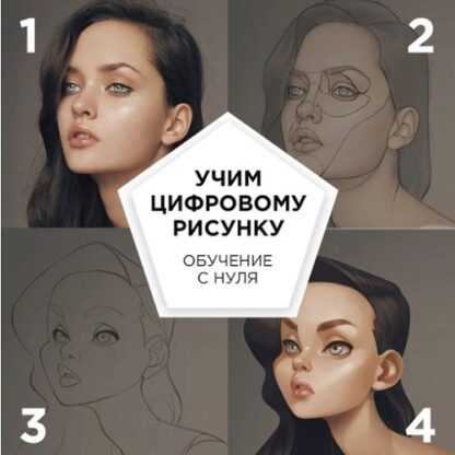[Fenix] Базовый курс по цифровому рисунку (Анастасия Васильева) (2019)