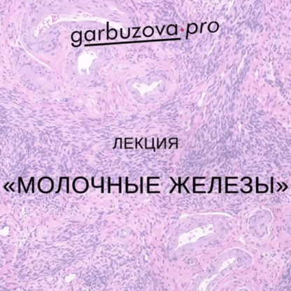 [Гарбузова Галa] Патология молочных желёз от мастопатии до онкологии (2022)