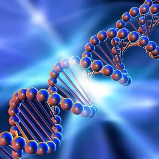 [genetics_4u] Биохимия мужского здоровья (2025)