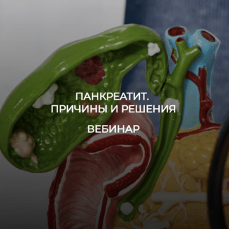 [Humberto 2.0] Валерий Подрубаев - Панкреатит. Причины и решения (2024)