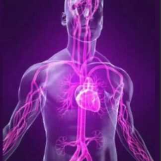 [Игорь Атрощенко] Трудноизлечимые вегетативные боли. Мануальная диагностика и терапия (2019)