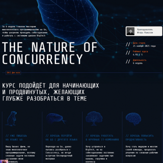 [Игорь Панасюк] The Nature of Concurrency - Курс по многопоточному программированию (2025) [Тариф Base]