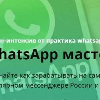 [Илья Егоров] WhatsApp Мастер Зарабатываем на самом популярном мессенджере (2018) скачать