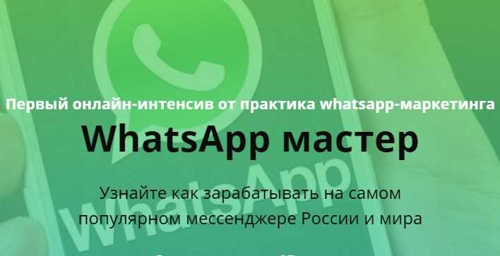 [Илья Егоров] WhatsApp Мастер Зарабатываем на самом популярном мессенджере (2018) скачать