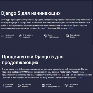 [Илья Перминов] Django 5 для начинающих + Продвинутый Django 5 для продолжающих (2024) [Stepik]