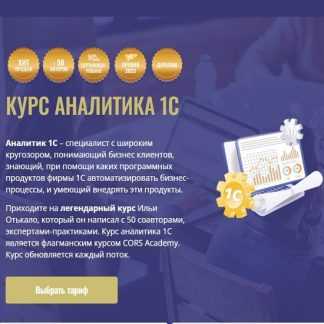 [Илья Отькало, Станислав Митичкин, Андрей Коптелов] Курс Аналитика 1C. 2025 [Тариф Базовый] [CORS Academy]