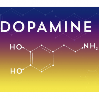 [Ирина Баранова, Татьяна Смольянинова] Дофаминомания (август 2023) [Первая школа биохакинга]