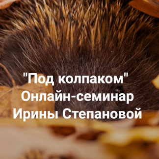 [Ирина Степанова] Под колпаком. Травма невидимости. Меня не замечают. Не получается составить отношения (2025) [Институт Открытого поля]