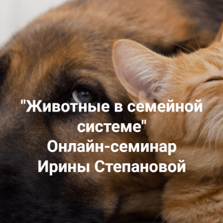 [Ирина Степанова] Животные в семейной системе (2025) [Институт Открытого поля]
