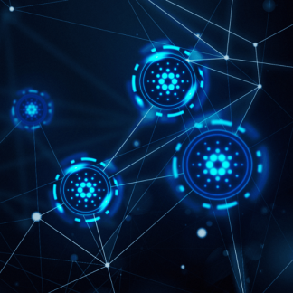 [Ирина Заяц] Пептиды для чайников (2025) [irina_zayats]