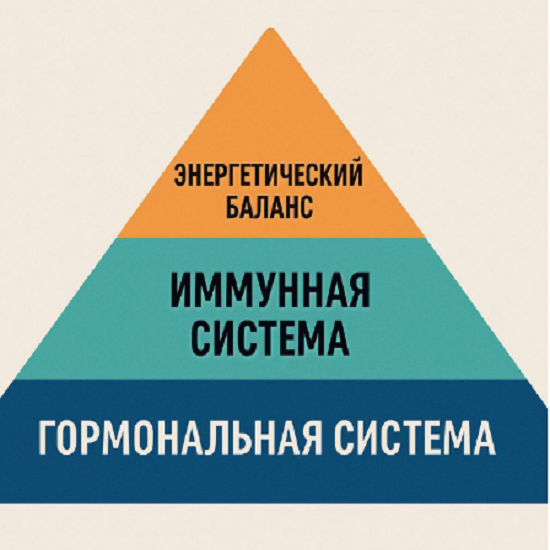 [Ирина Зезулева] Авторская схема восстановления Re Vita (2026) [nutri.tonkosti]