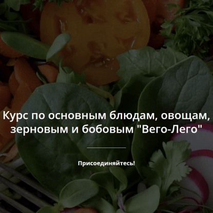 [Яна-Вегана][Яна Сидакова] Курс Вего-Лего (2022)