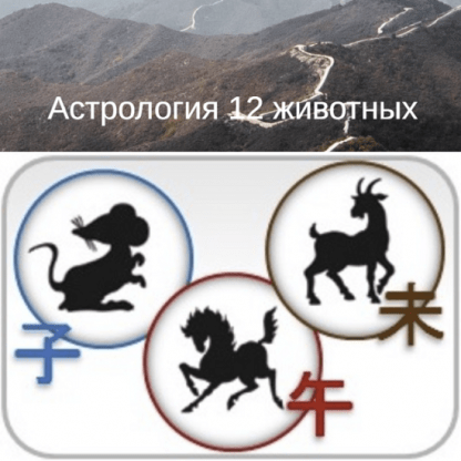 [Юлия Бальсина] Астрология 12 животных (2023)