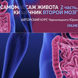 [Юрий Чернолецкий] Самомассаж живота 2 часть Кишечник второй мозг (2023) [Центр Норбекова]