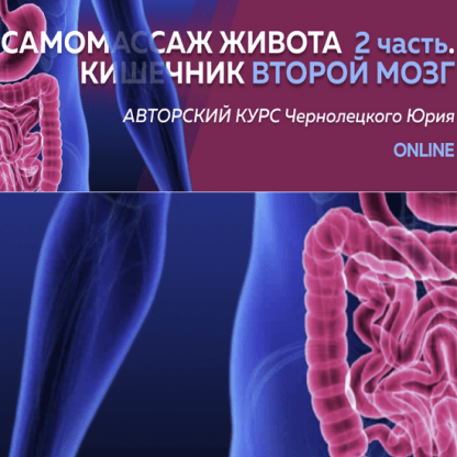 [Юрий Чернолецкий] Самомассаж живота 2 часть Кишечник второй мозг (2023) [Центр Норбекова]