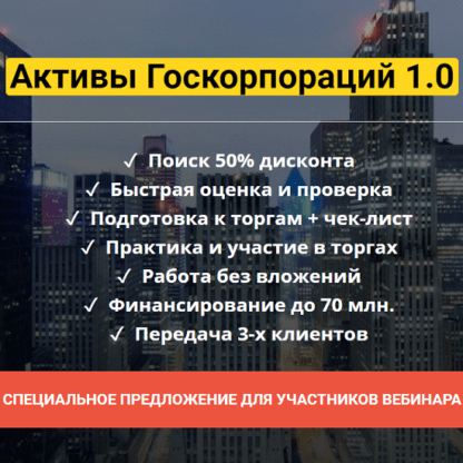 [Юрий и Наталья Павловы] Активы Госкорпораций 1.0 (2020)