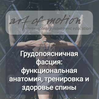 [Карин Гуртнер] Грудопоясничная фасция функциональная анатомия, тренировка и здоровье спины (2024) [Artofmotion]